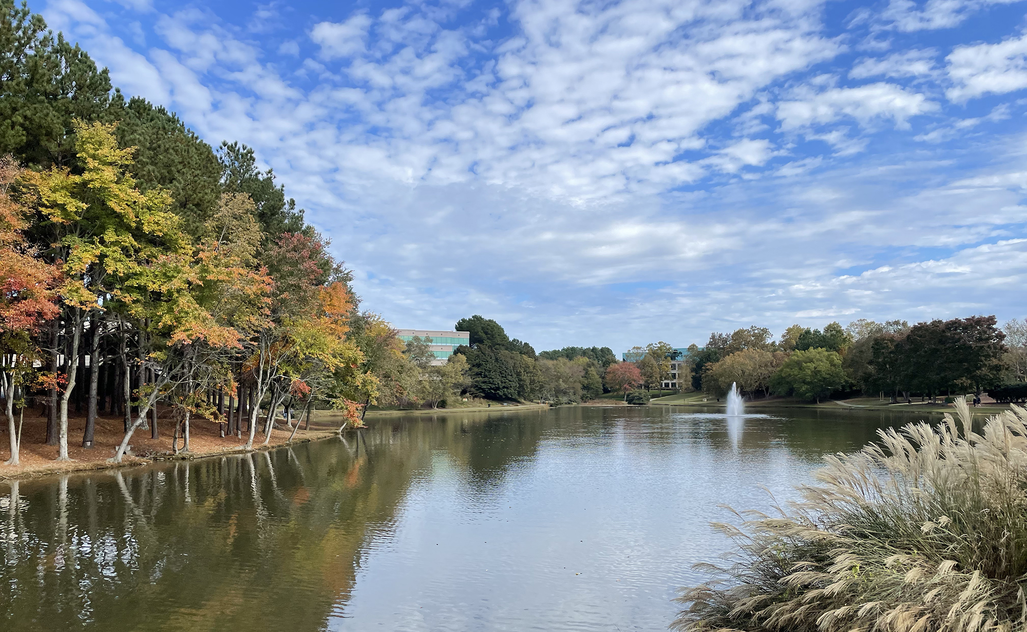 DataHub Johns Creek Open Data Portal